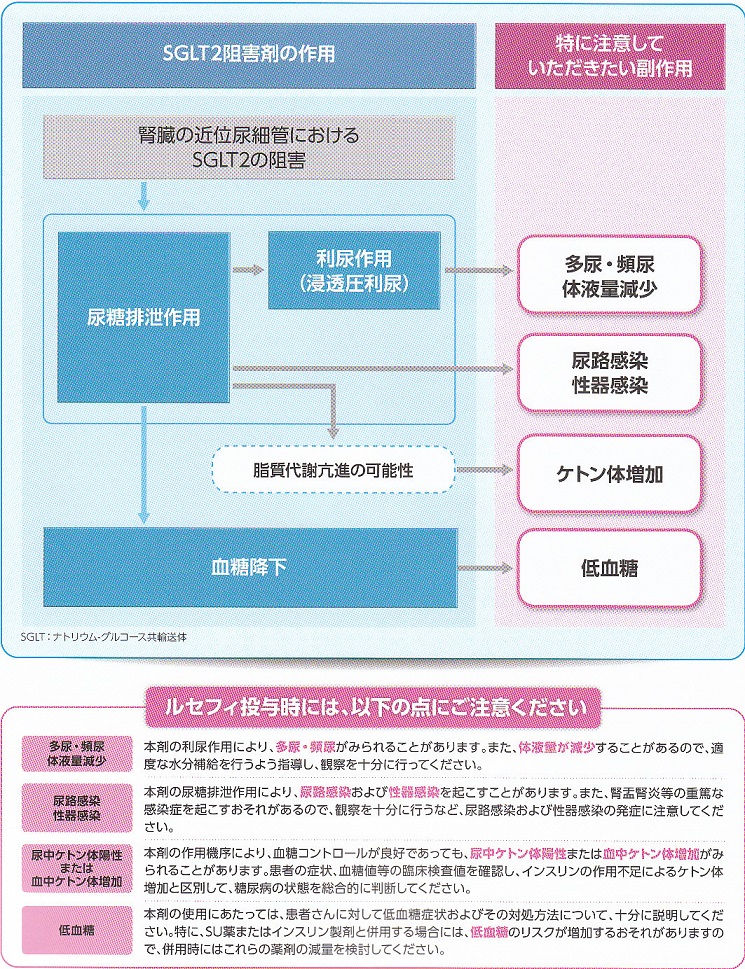 Ａｎｎｕａｌ　Ｒｅｖｉｅｗ糖尿病・代謝・内分泌 ２０１１/中外医学社/寺内康夫（単行本） 中外医学社 | 書籍詳細